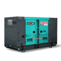 Genset 60 KVA Silent Diesel 50000 Watt Tsuzumi Cummins TCG 60 KVA Japan Technology