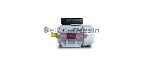 Dinamo electro motor 3 hp 1p Montoya