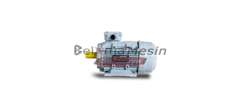 Dinamo electro motor 2 hp 3p Montoya