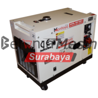 Genset Silent Diesel Montoya MDG 10000-3